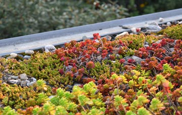 the cost of Davenham green roof installation