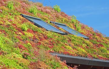 Davenham living roof systems